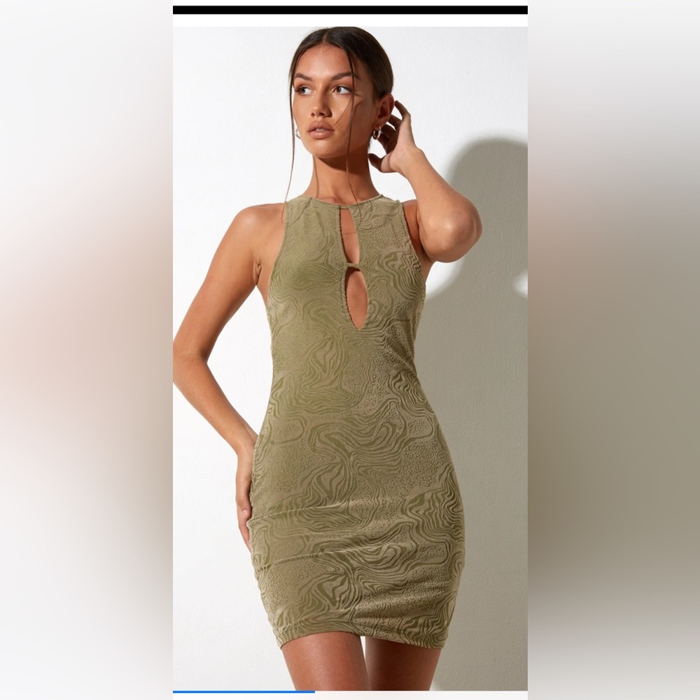 Beautiful flocked animal print dress